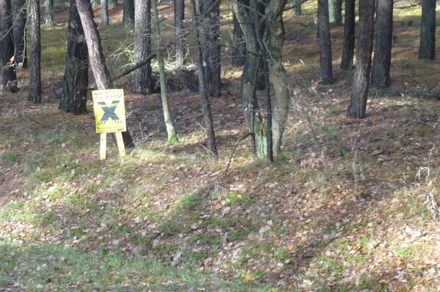 Das X im Wald Das X im Wald